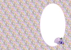 Purple and Blue Pansie Is