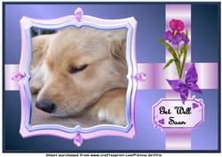 Dog Get Well A4