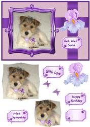 Puppy Get Well and More Qs