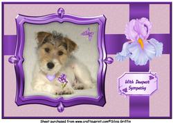 Puppy Sympathy A4