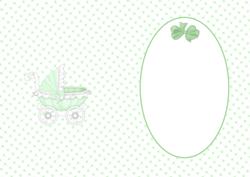 New Baby Mint Carriage Insert