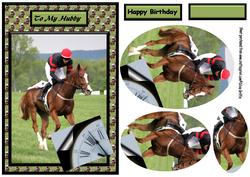 Horse Racing for All Kinds of Occasions Qs