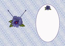Blue Pansie and Lace Is