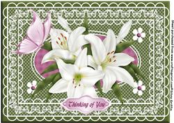 Lillie's and Butterfly A4