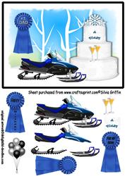Snowmobile Qs