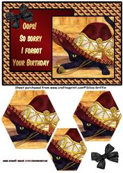 Oops - Forgot Your Birthday Cat in a Hat Qs