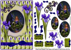 Iris Fairy Qs