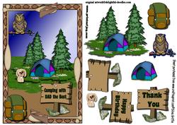 Camping Night Qs