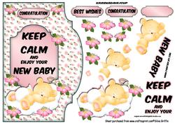 Keep Calm and Enjoy Your New Baby Girl