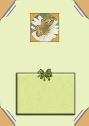 Butterfly on a Daisy Is