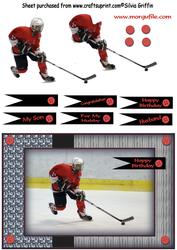 Hockey Player Sbs