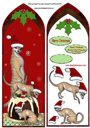 Fancy Arch Meercat Christmas Pudding Dl