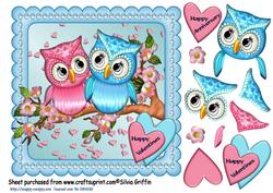Owl Love Sbs