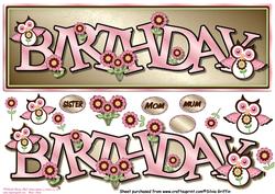Birthday Owl Large Dl