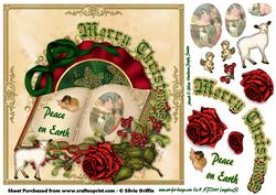 Christmas Story Book Sbs