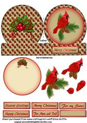 Gloe Shaped Card with Red Robin with Insert