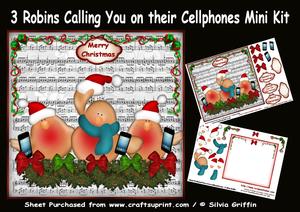 3 Cute Robins Calling You in Their Cellphone Mini Kit