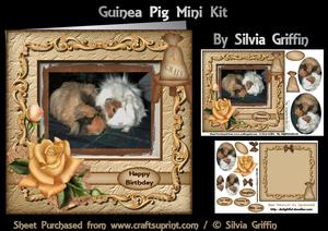 Guinea Pig Mini Kit