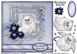 Sweet Cat Sympathy Qs