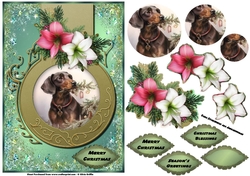 Dachsen Christmas QS