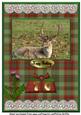 Stag on Tartan Paper A4