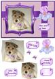 Puppy Get Well and More Qs