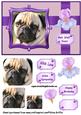 Pug Dog Birthday and More Qs