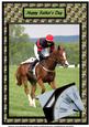 Horse Racing for Fathers Day A4