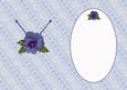 Blue Pansie and Lace Is