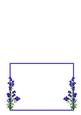 Blue Flowers Is