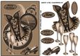 Steampunk Corset with Champagne Glass Sbs