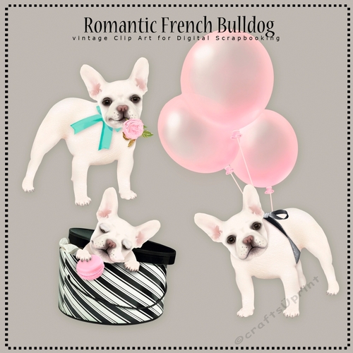 Romantic French Bulldog 
