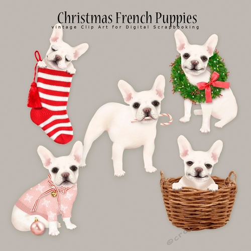 Christmas French Puppies