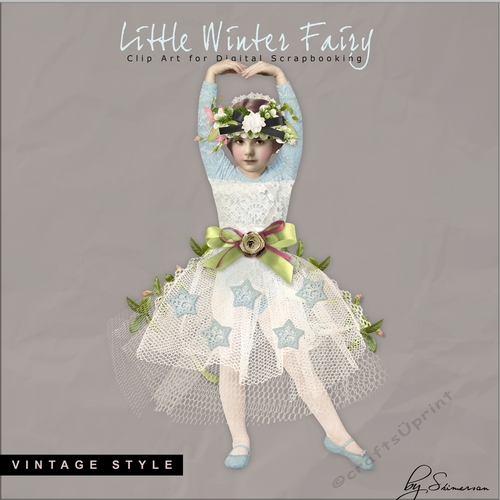 Little Winter Fairy