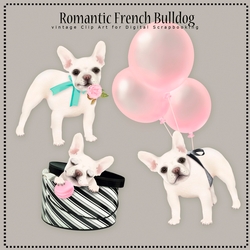 Romantic French Bulldog 