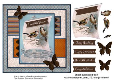 Sailing Winter Birds Masculine Male Birthday Retirement