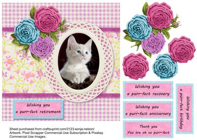 Kitten Cat Birthday, Retirement, Thank You, Get Well
