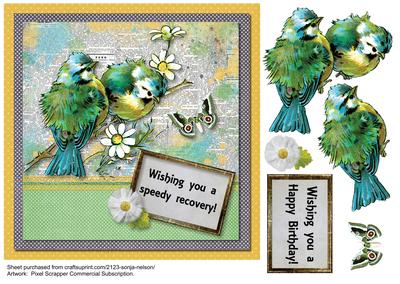 Birds and Butterfly Birthday or Get Well