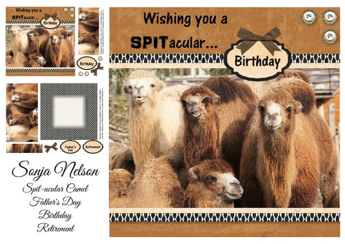 Camel SPITacular Fathers Day - Birthday - Retirement Mini Kit