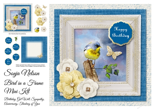 Bird in a Frame Birthday, Anniversary, Sympathy, Get Well, Thinking of you