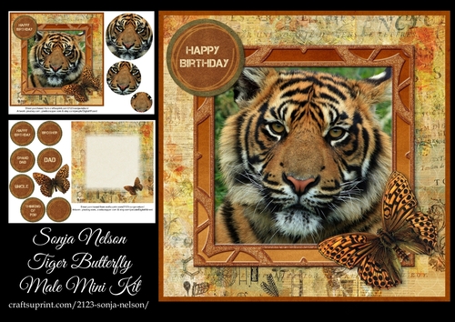Tiger Butterfly Male Mini Kit