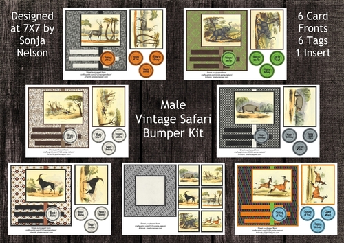 Male Vintage Safari Animals Bumper Kit