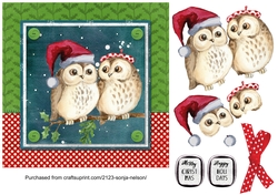 Christmas Owls Quick Card