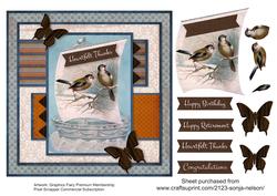 Sailing Winter Birds Masculine Male Birthday Retirement