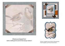 Sailing Winter Birds Insert Gift Card Gift Tag