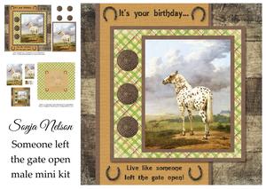 Horse Male Birthday Mini Kit - Someone Left the Gate Open