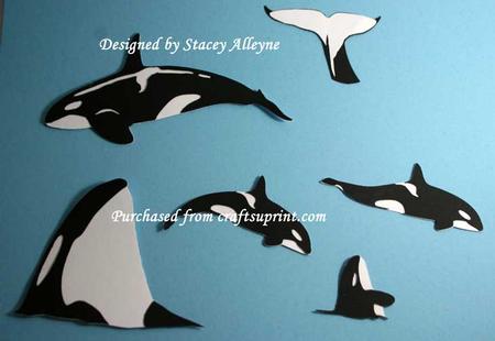 Orca Whale - Sil