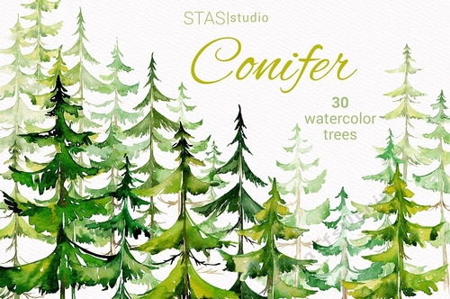 Watercolor Conifer Trees Pine Forest Spruce Hand Painted Wood Clipart Landscape Illustration Christmas Greeting Card Winter New Year Clipart 