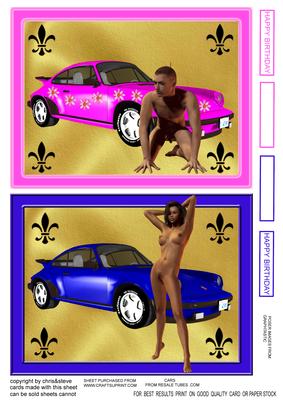Sexy Car Toppers