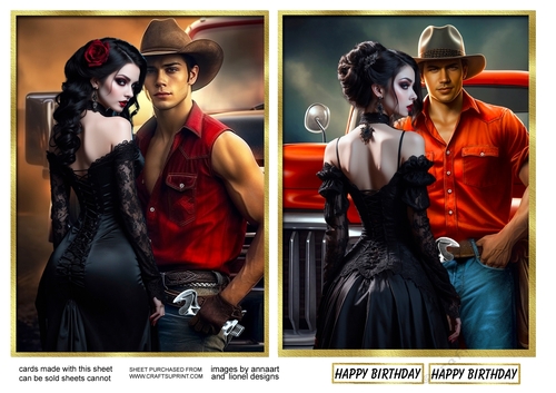 The cowboy and the lady 3 and 4